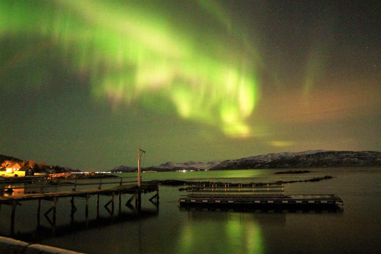 Laukvik Senja Hotel Botnhamn Buitenkant foto
